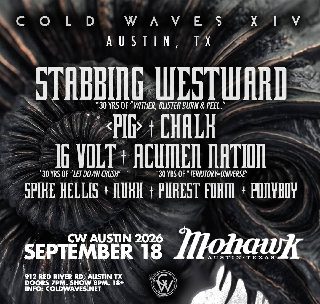 Flyer for Cold Waves Festival
