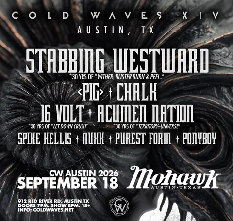 Flyer for Cold Waves Festival